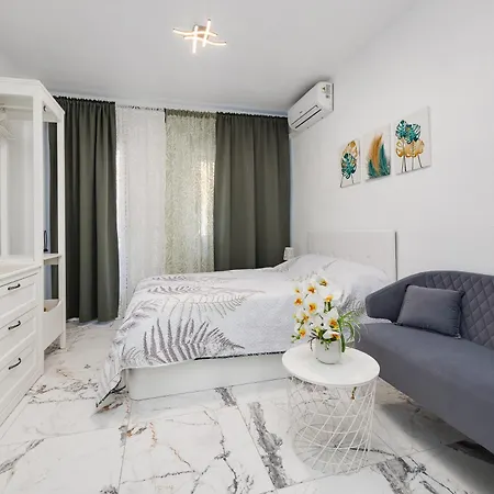 Estudio Caballero De Rodas * Torrevieja