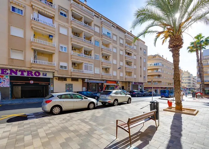 Estudio Caballero De Rodas * Torrevieja