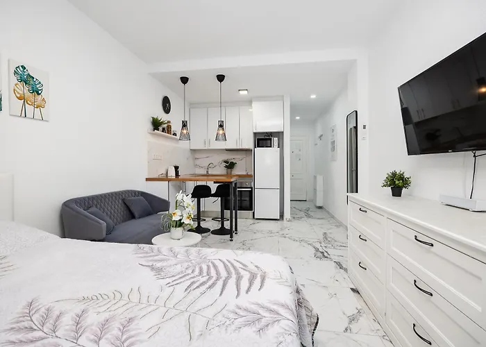 Estudio Caballero De Rodas *